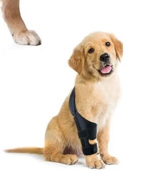 Black Dog Rear/Front Leg Knee Brace - Adjustable Support
